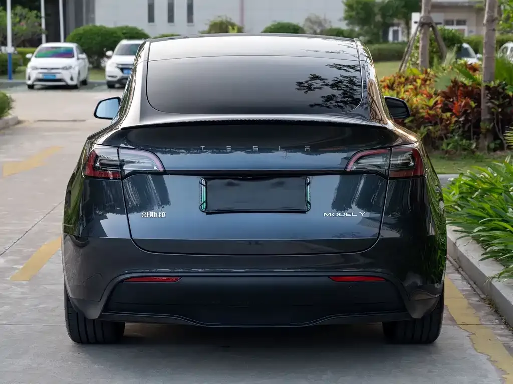 Tesla Model Y — фото 10