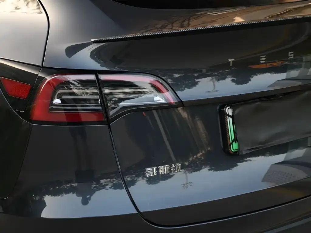 Tesla Model Y — фото 9