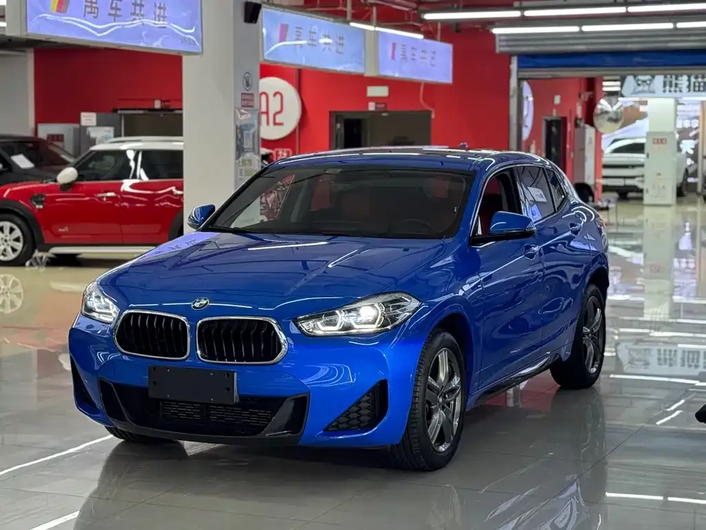 BMW X2 2021 из CN, фото 3