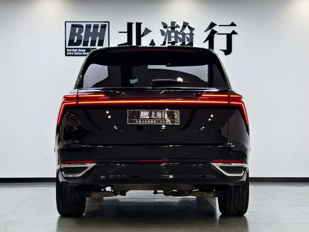 Wey Lanshan 2024 из CN, фото 3