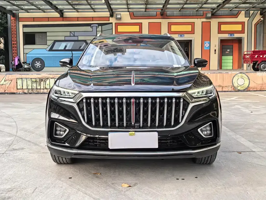 Hongqi HS5 2023 из CN, фото 6