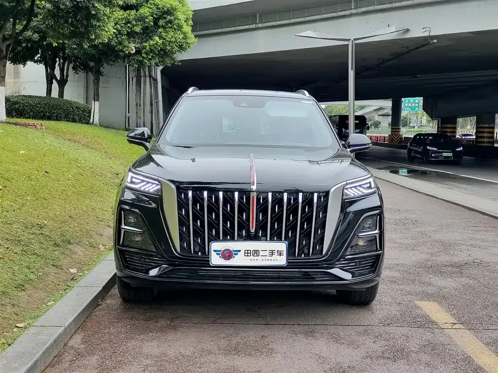 Hongqi HS5 2025 из CN, фото 7