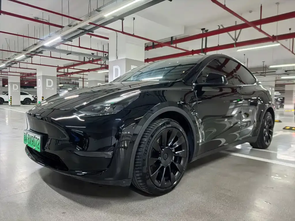 Tesla Model Y — фото 1