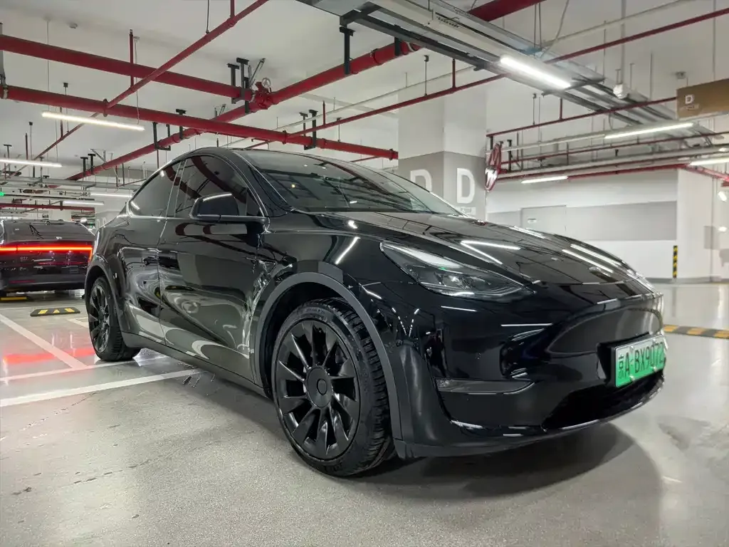 Tesla Model Y — фото 10