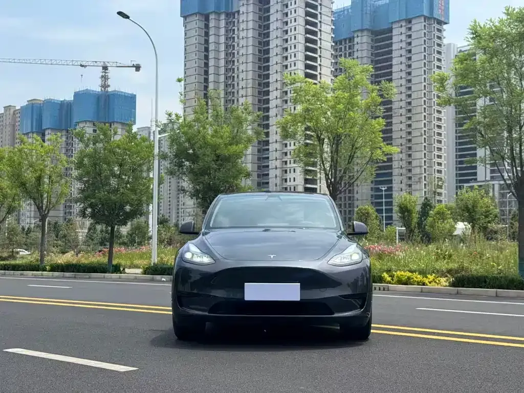 Tesla Model Y — фото 6