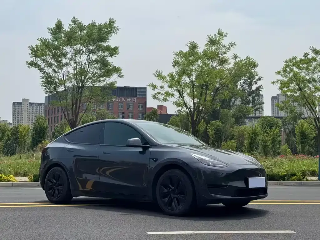 Tesla Model Y — фото 3