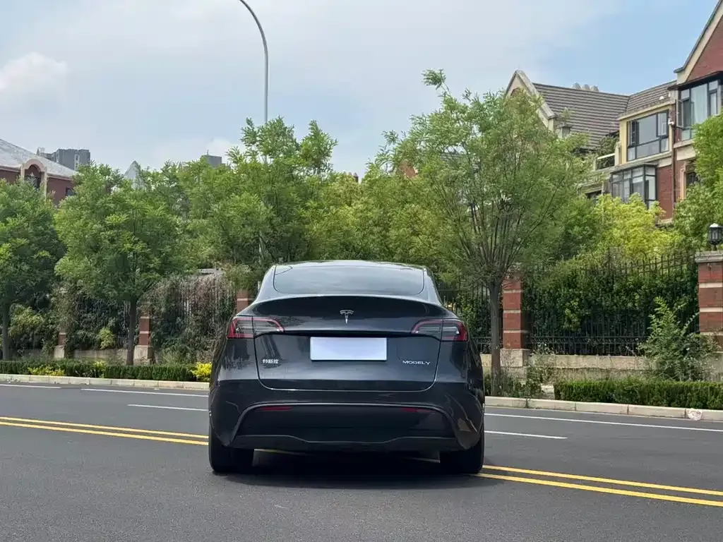 Tesla Model Y — фото 2