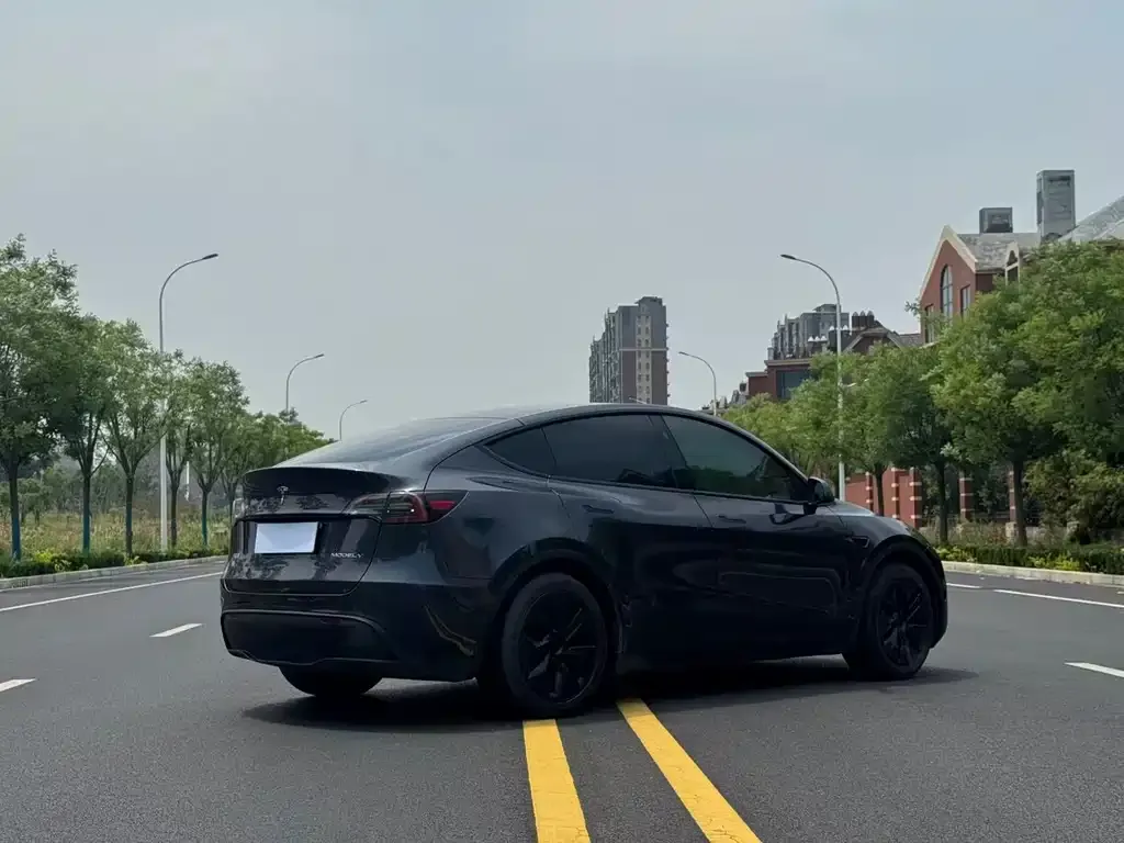Tesla Model Y — фото 8