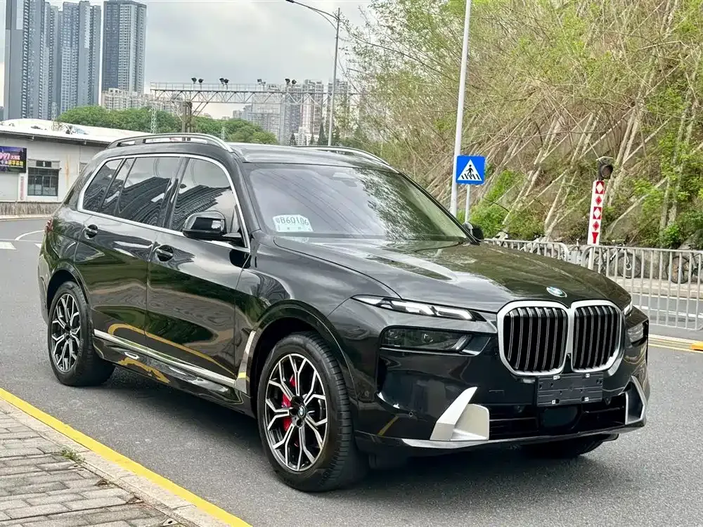 BMW X7 — фото 7