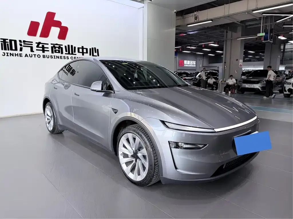 Tesla Model Y — фото 10