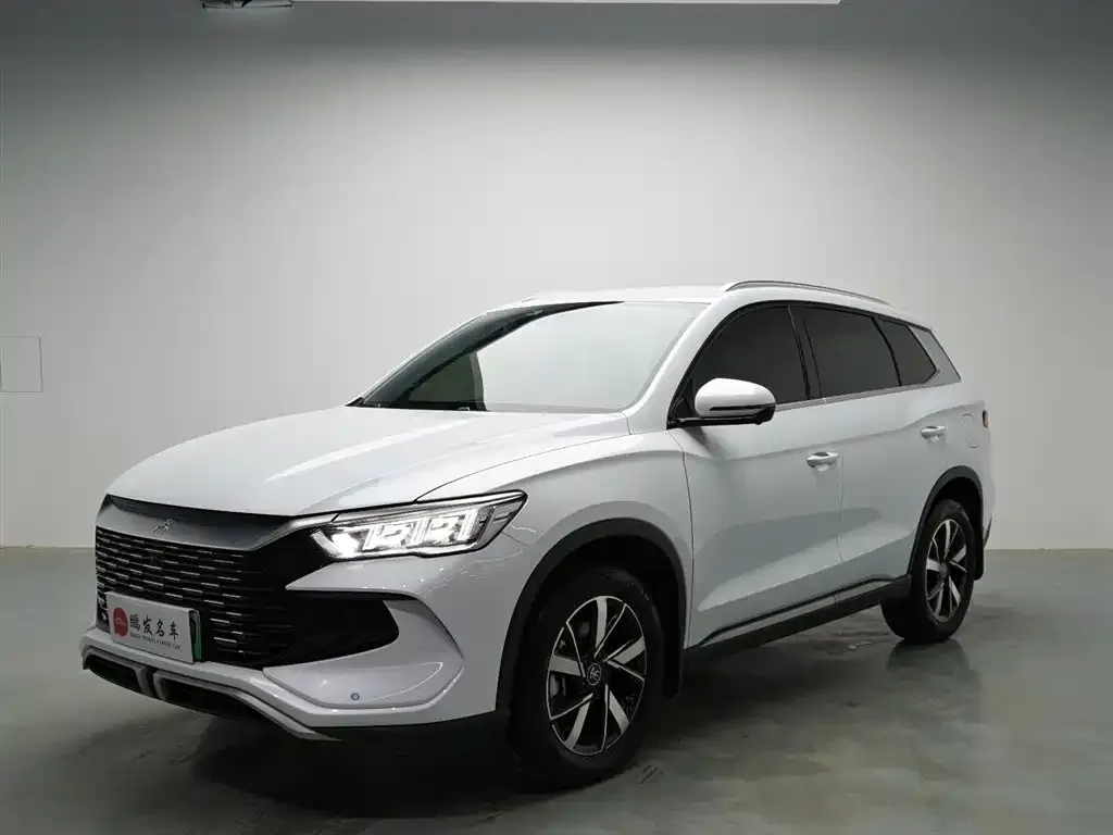 BYD Pro New Energy — фото 1