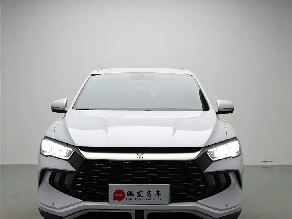 BYD Pro New Energy — фото 2
