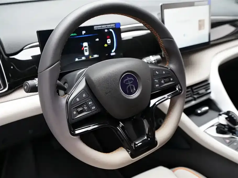 BYD Pro New Energy — фото 9