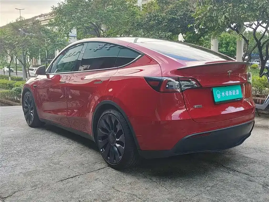 Tesla Model Y — фото 10