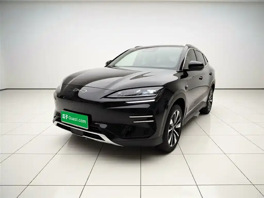 BYD PLUS New Energy — фото 9