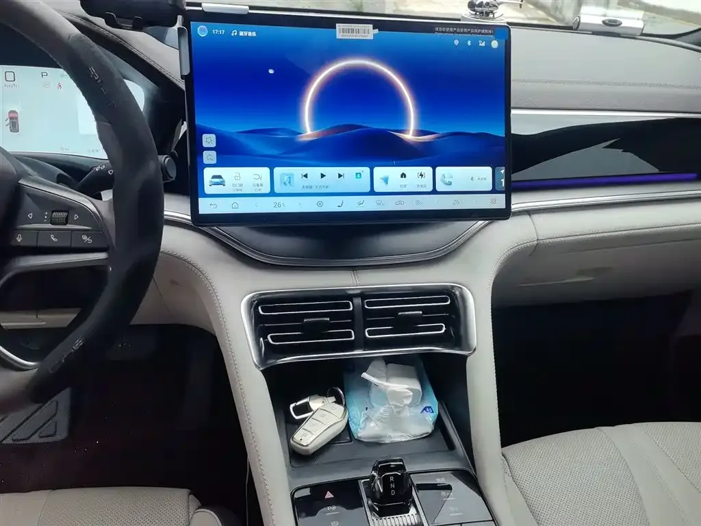 BYD PLUS New Energy — фото 10