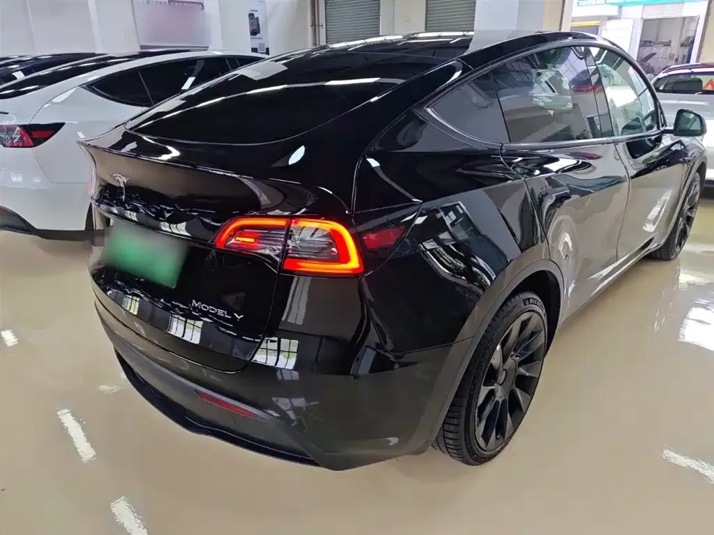 Tesla Model Y — фото 10