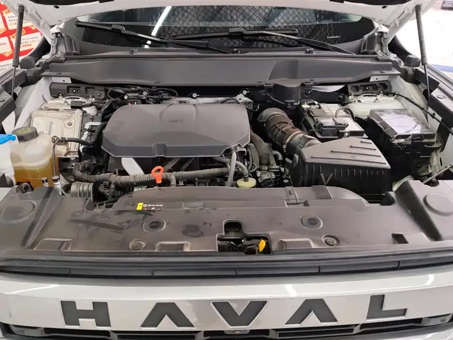 Haval Big Dog — фото 10