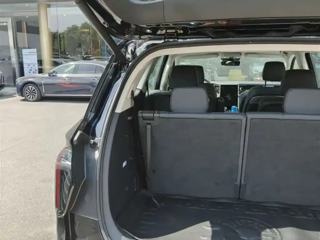 Hongqi HS7 PHEV 2024 из CN, фото 6