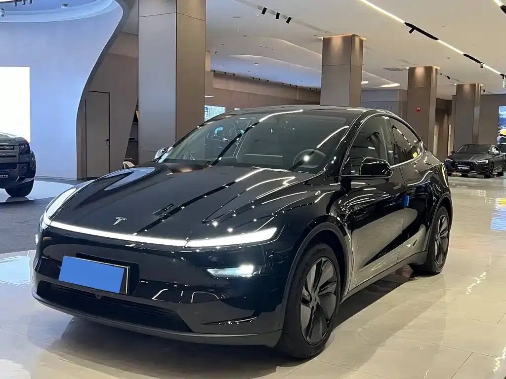 Tesla Model Y — фото 10