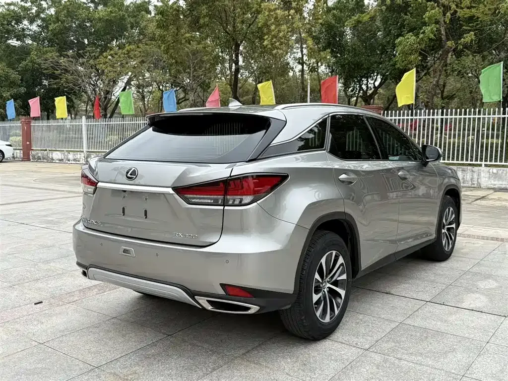 Lexus RX 2021 из CN, фото 3