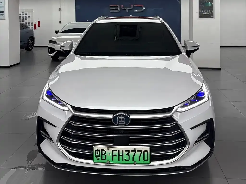 BYD Tang New Energy — фото 2