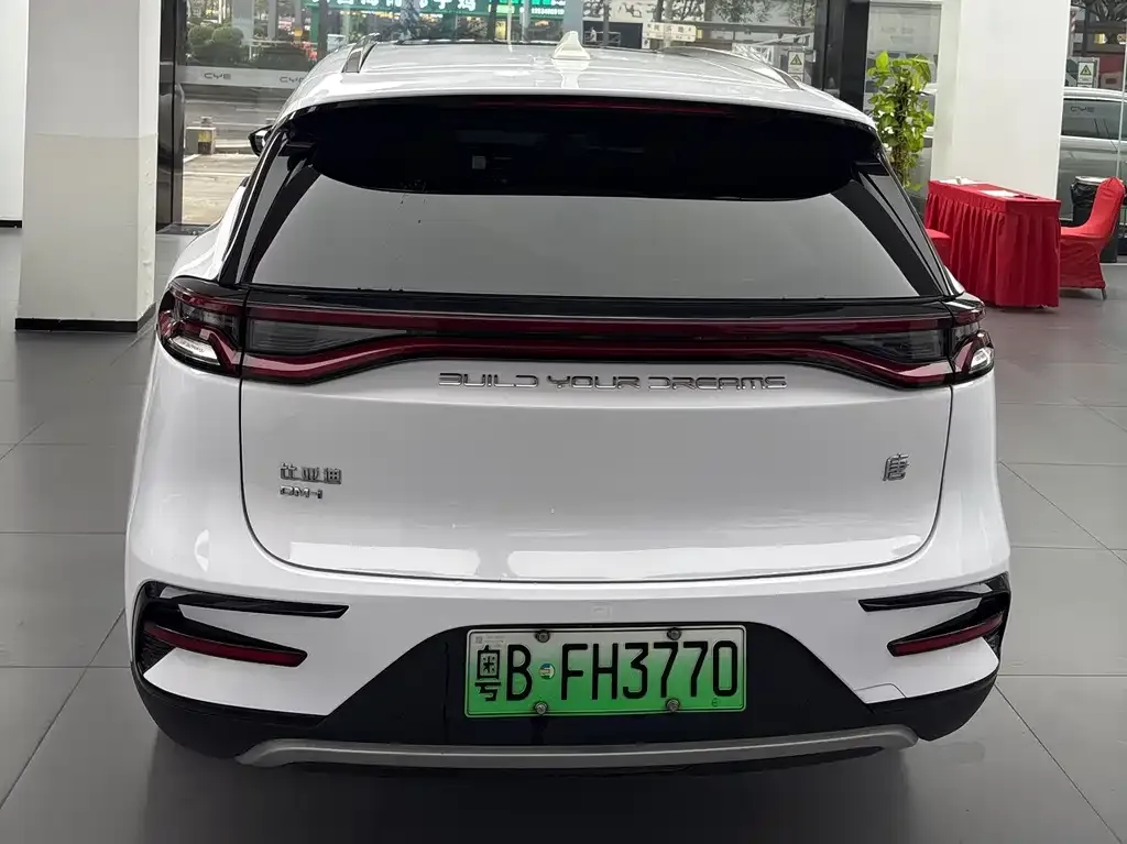 BYD Tang New Energy — фото 8