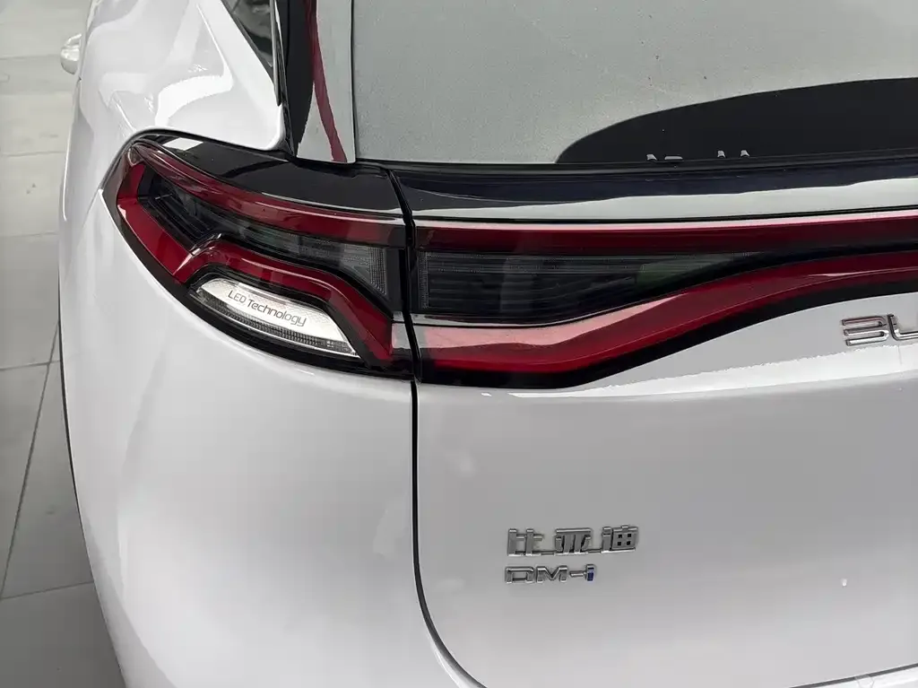 BYD Tang New Energy — фото 10