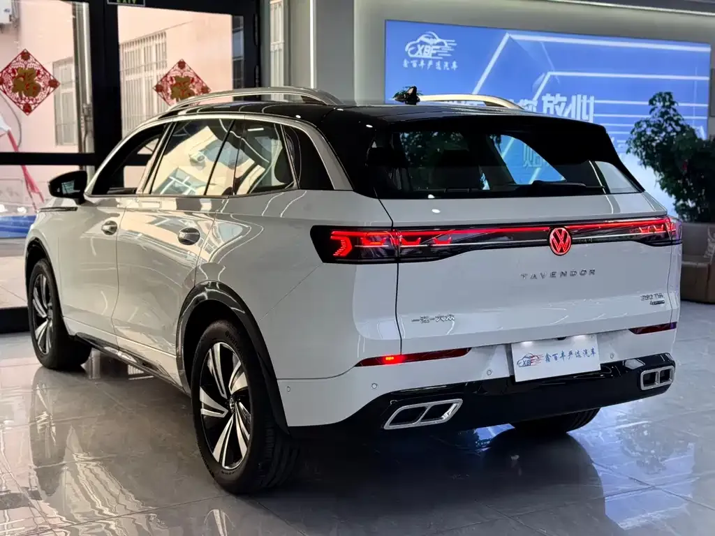 Volkswagen Tavendor 2025 из CN, фото 5