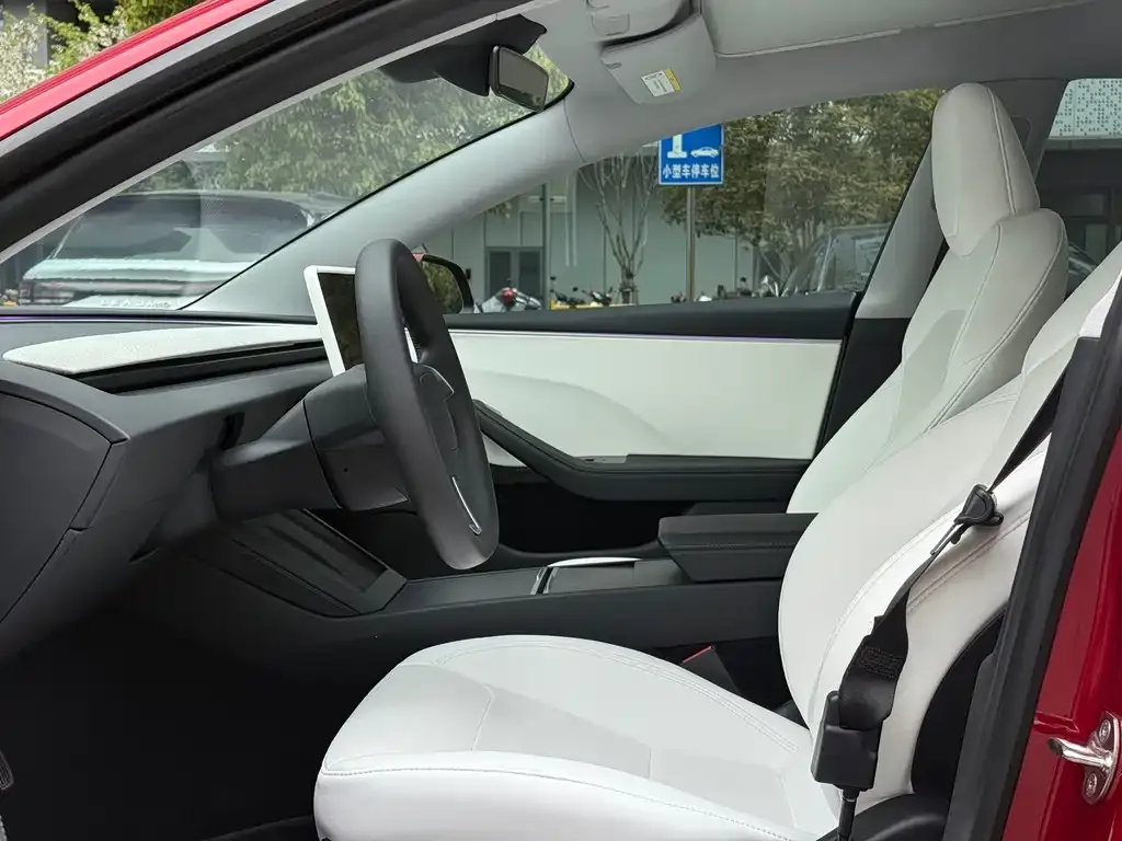 Tesla Model 3 2024 из CN, фото 8