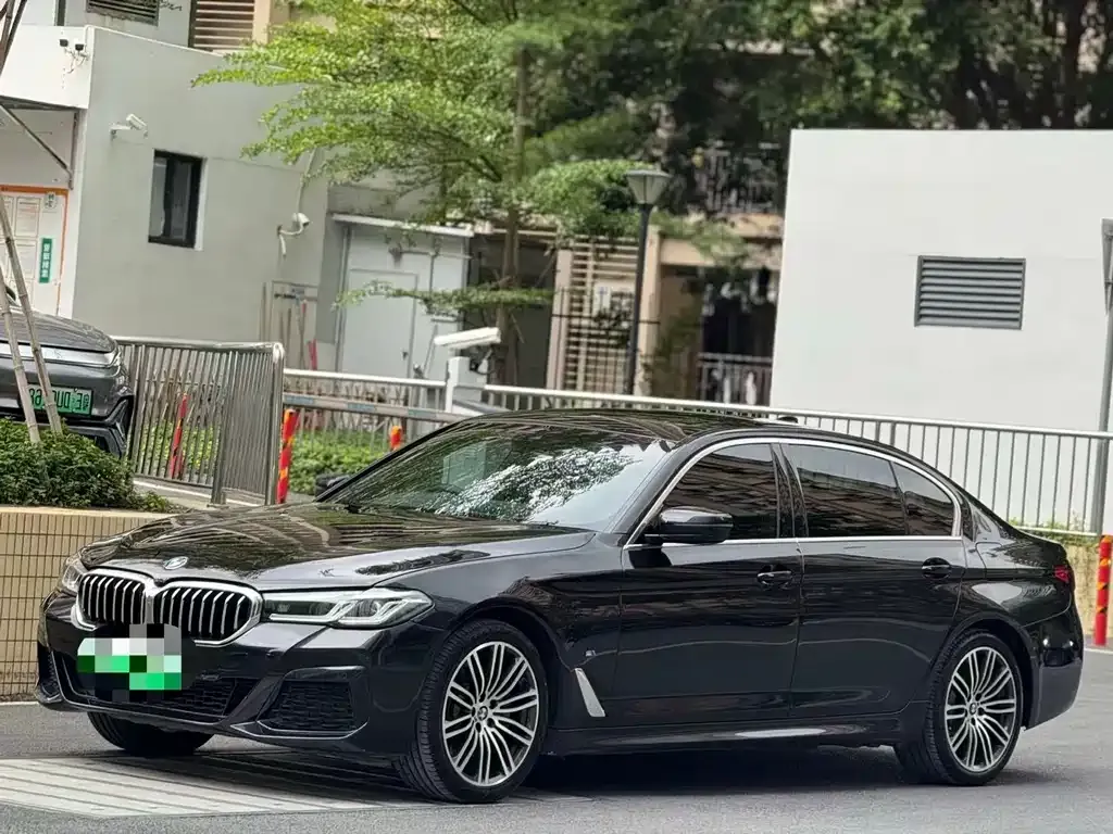 BMW 5 Series New Energy 2021 из CN, фото 9