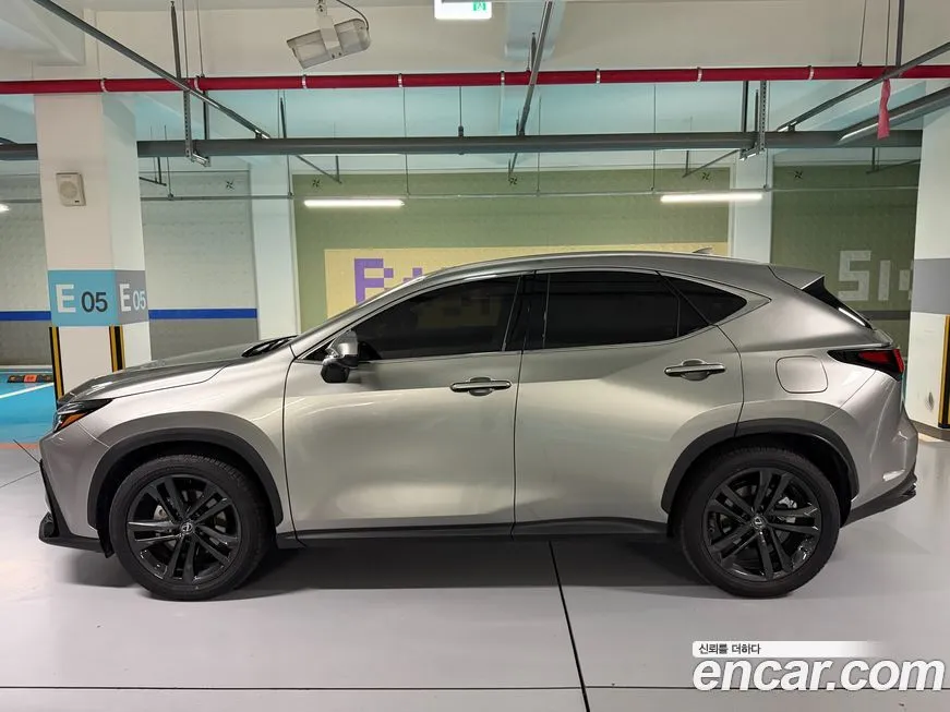 Lexus NX 2025 из KR, фото 7