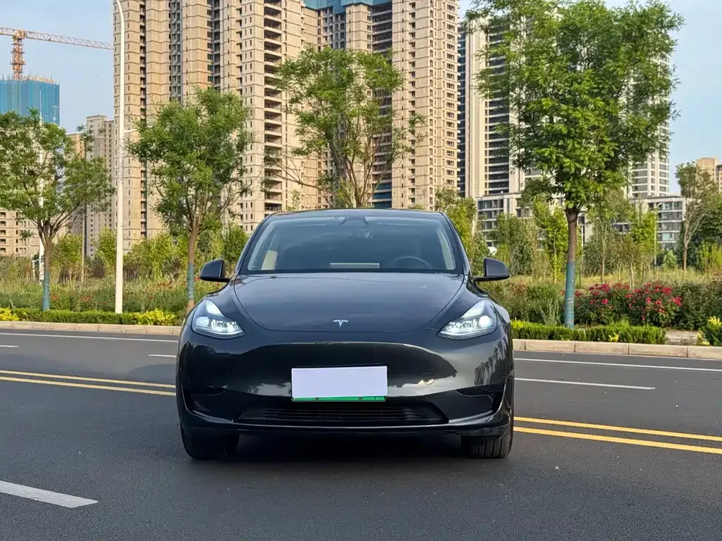 Tesla Model Y — фото 9