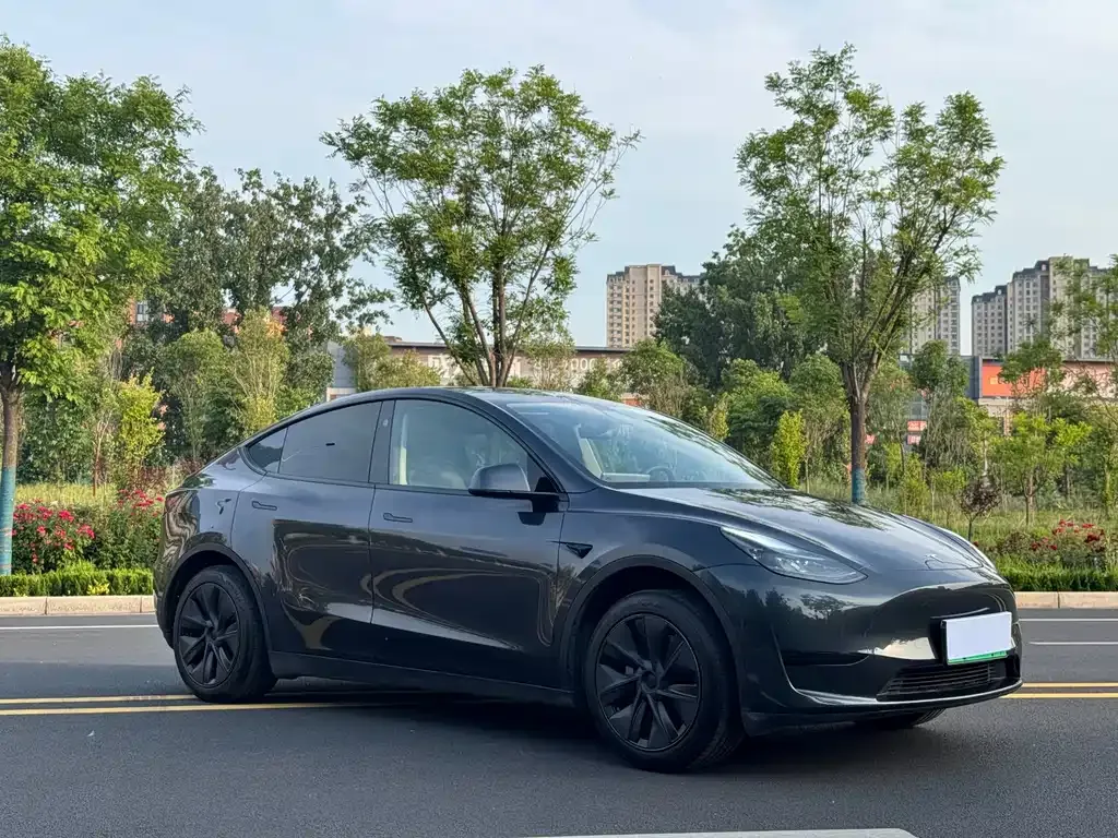 Tesla Model Y — фото 8