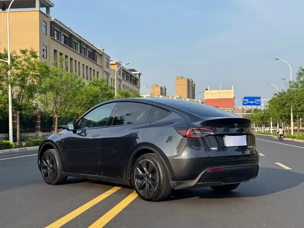 Tesla Model Y — фото 2