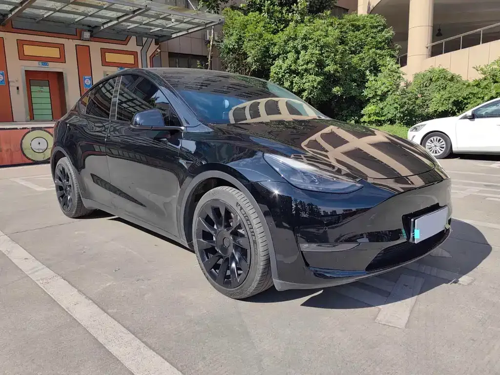 Tesla Model Y — фото 8