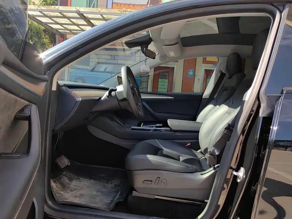 Tesla Model Y — фото 10