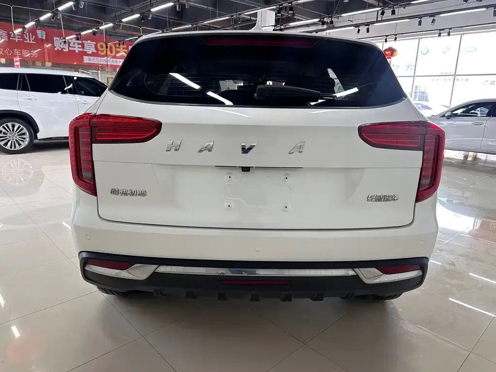 Haval Chulian 2022 из CN, фото 8