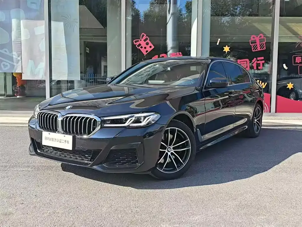 BMW 5 Series 2022 из CN, фото 9