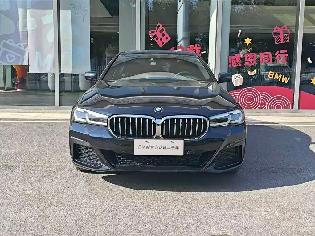 BMW 5 Series 2022 из CN, фото 8