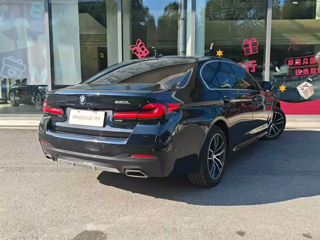 BMW 5 Series 2022 из CN, фото 4