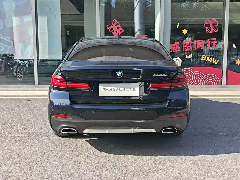 BMW 5 Series 2022 из CN, фото 10