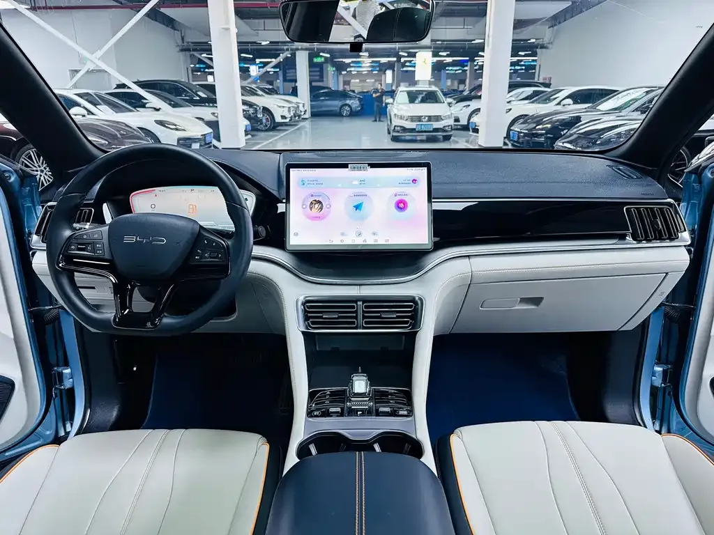 BYD PLUS New Energy — фото 5