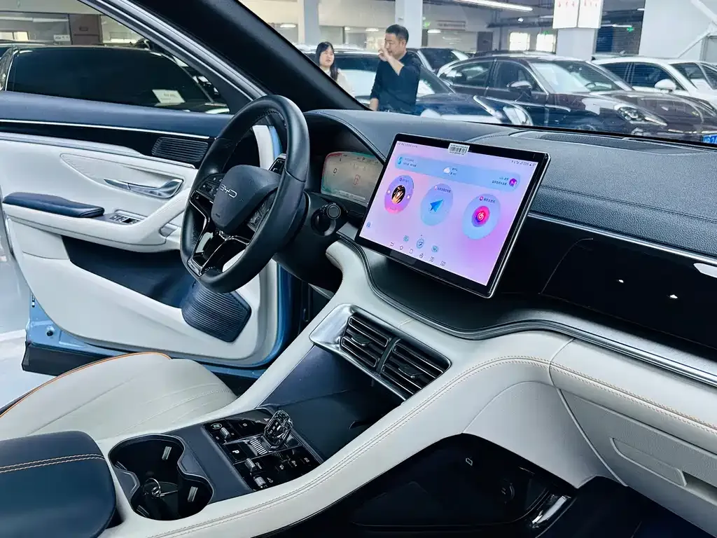 BYD PLUS New Energy — фото 8