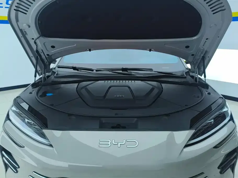 BYD PLUS New Energy — фото 7