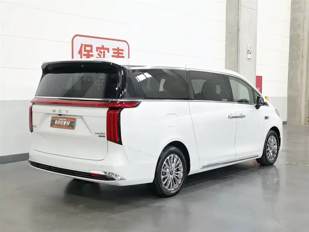 Wey Gaoshan 2024 из CN, фото 7