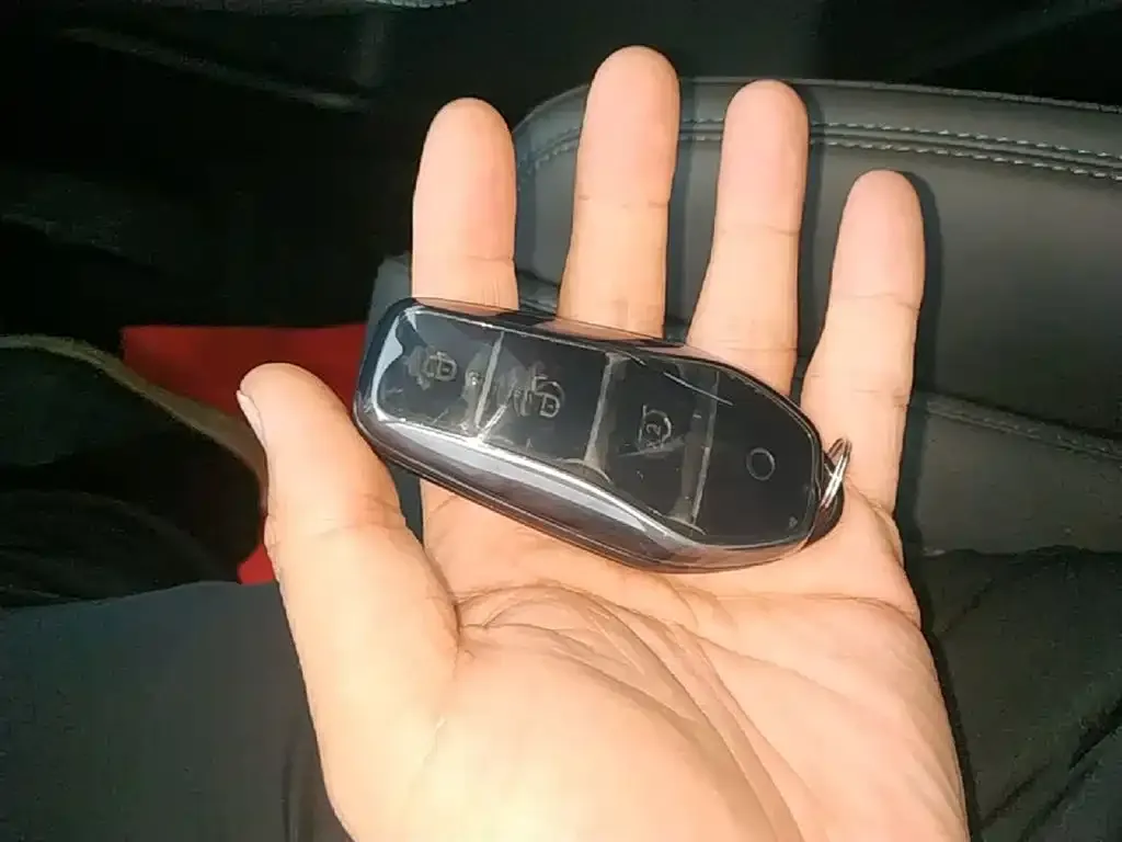 BYD L DM-i — фото 2