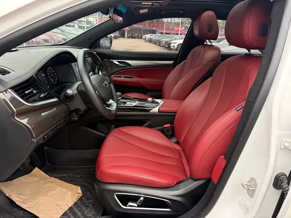 Geely Borui 2022 из CN, фото 2