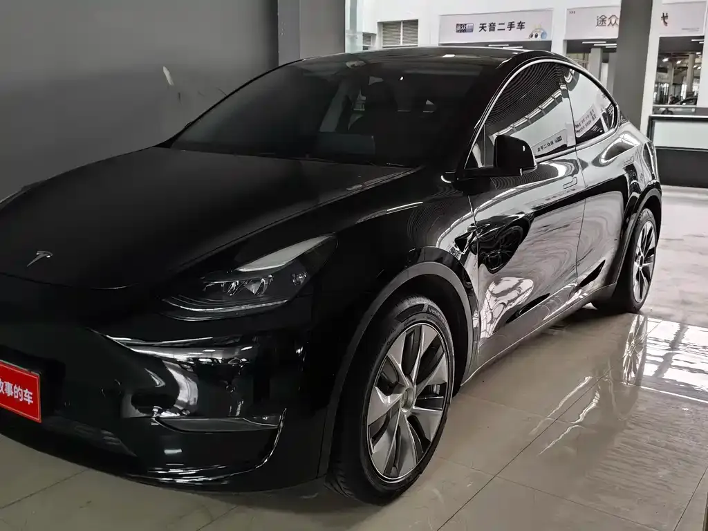 Tesla Model Y — фото 1