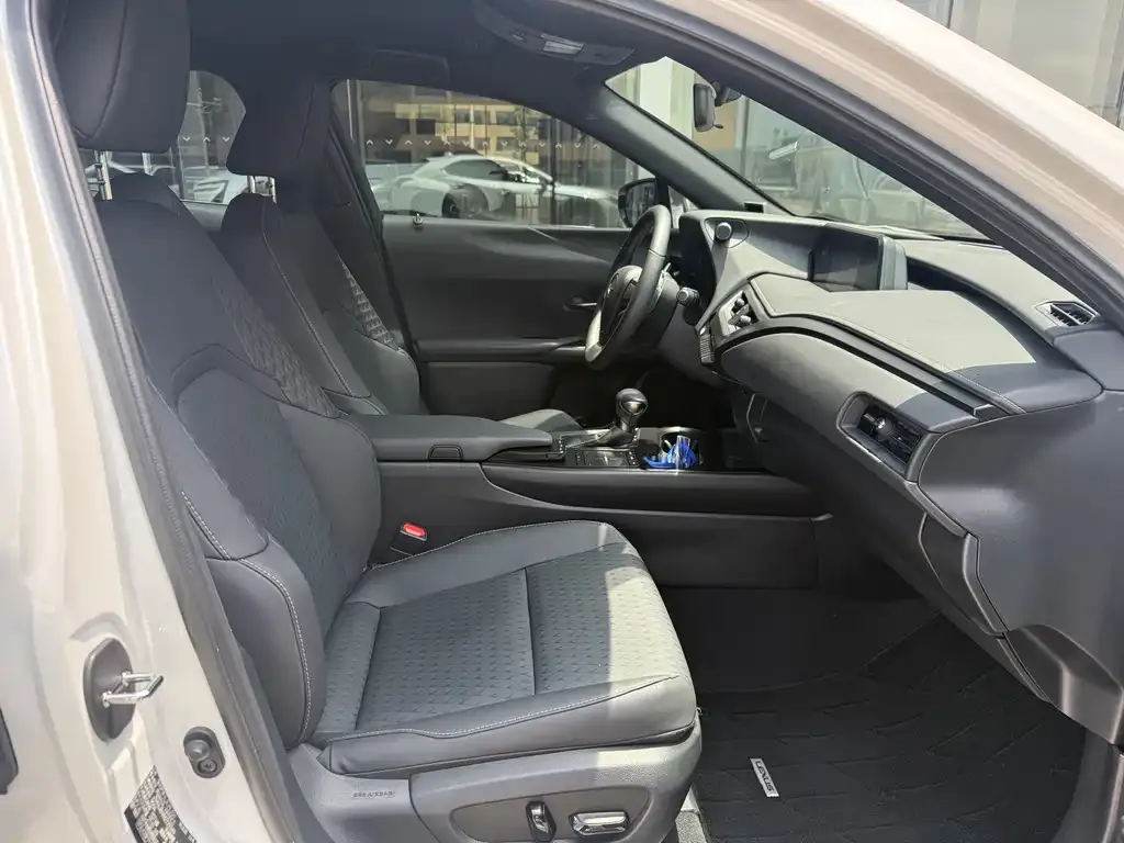 Lexus UX 2022 из CN, фото 9